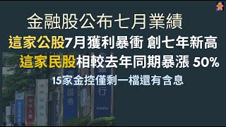 金融股公布七月業績 | 這家公股7月獲利暴衝 創七年新高 | 這家民股相較去年同期暴漲 50% | 15家金控僅剩一檔還有含息【CC字幕】