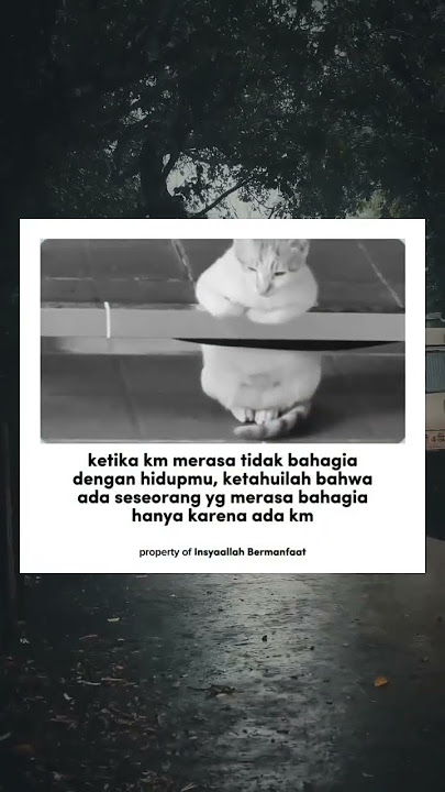 #sedih #sw #sad #nasihat #dakwah #motivasi #reminder #reminderislamic #sedih #renungan #fyp #fypシ゚