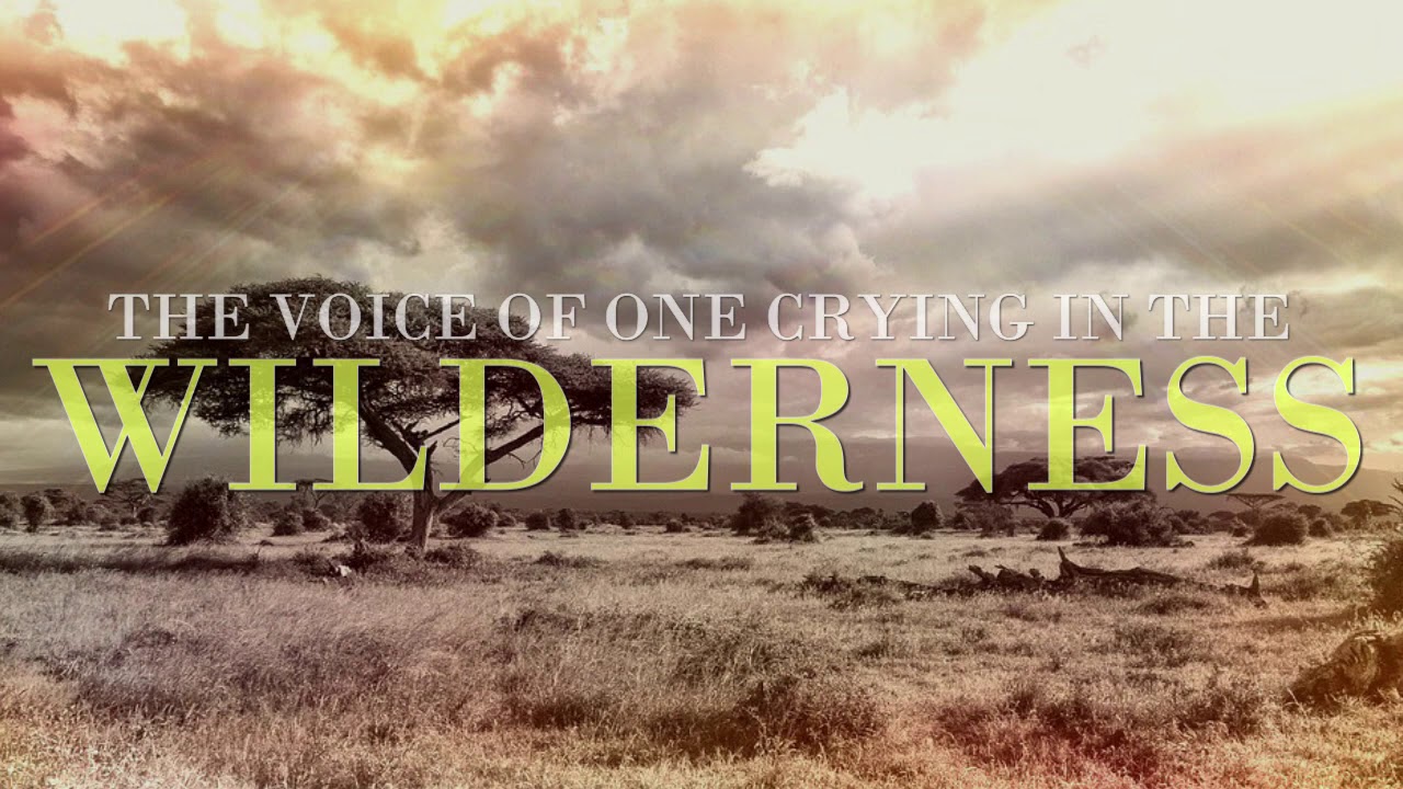 Carey Rogers-Current Events