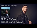 中 孝介 Digital Single『ワダツミの木』 特別コメントムービー