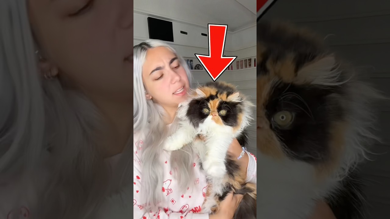 Latest Title & Thumbnail