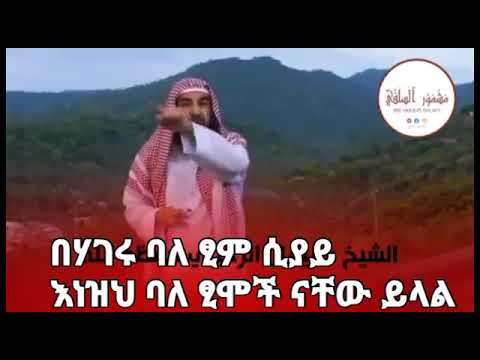 ቪዲዮ: ስለ ፂም ምን እናውቃለን፡ ከቫይኪንግ እስከ ሂፕስተር