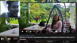 COME WORK IN DOMINICA NATURE COMMENTER HITS IT ON NAIL ft Skerrit & Denise - Mystelics Reacts