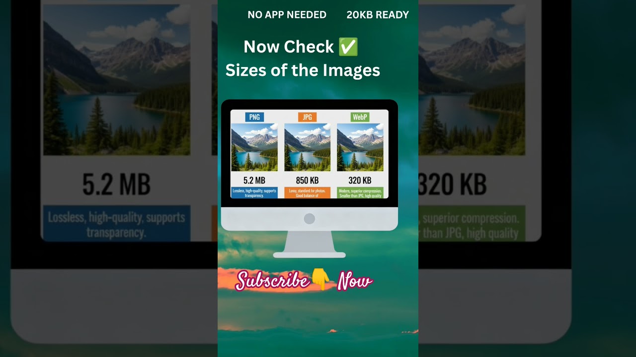Image Formats : PNG, JPG WEBP / Online Photo Compressor 