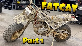 Honda Fat Cat Restoration Project Market Place Find Part 1 Bvc Offroad