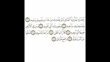 سورة المعارج 2 القسم الثاني تكرار كيفي من .. يبصرونهم يود المجرم لو يفتدي .. إلى .. وجمع فأوعى