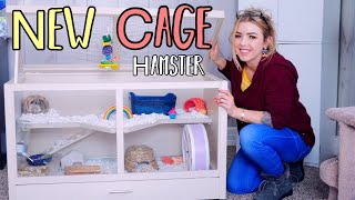 My New Hamster Cage Setup | New Age Pet Ecoflex Small Animal Hutch