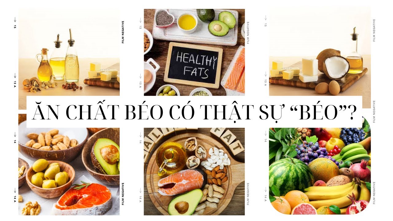 CHẤT BÉO - LIPID | ĂN CHẤT BÉO CÓ THẬT SỰ KHIẾN 