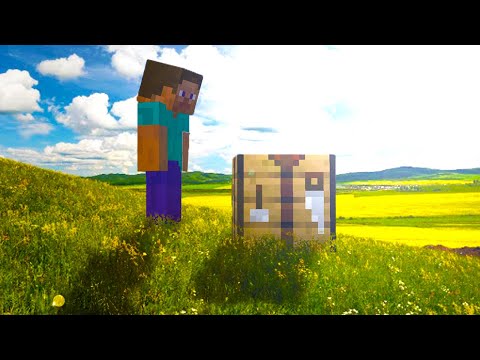 Minecraft's real life mod is hilarious