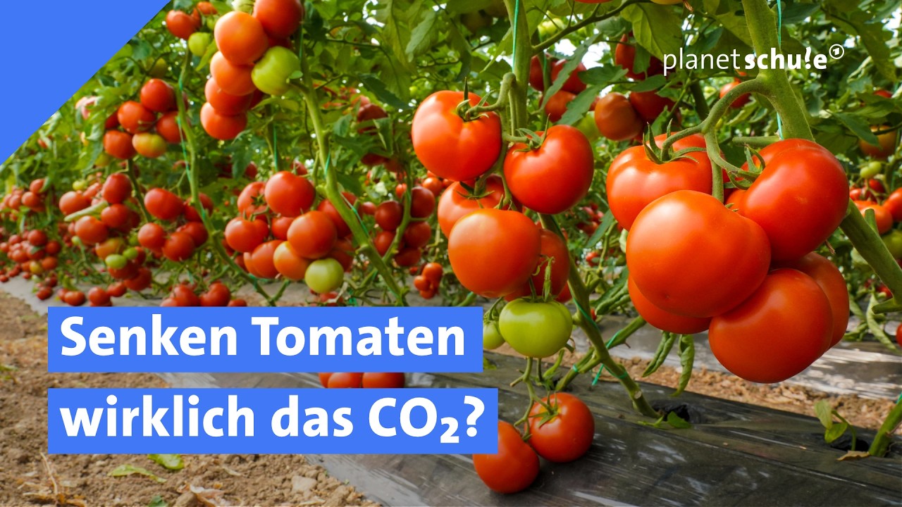 Direct air capturing - Island filtert CO2 aus der Luft! | Kühlung für ...
