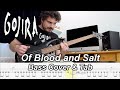 Of Blood and Salt - Bass Cover and Tab - Gojira