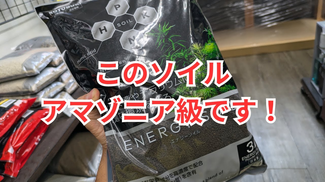 ポスト・アマゾニア】コトブキ エナジーソイルをレビュー！ - YouTube
