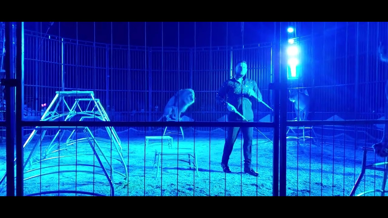 CIRCO GRECA ORFEI BENEVENTO LEONI 1