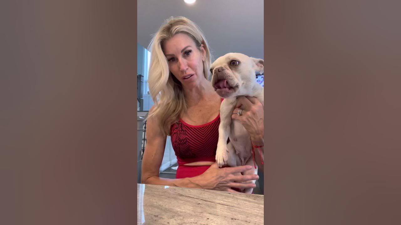 Preventing TEAR STAINS with white / platinum frenchies ! YouTube