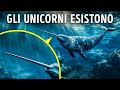 Misteri Degli Abissi Sepolti Negli Angoli Più Oscuri Dell'Oceano