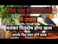 पितर पक्ष में ज़रूर करे ये उपाय । भयंकर पितर दोष होगा ख़त्म । पितर  होंगे प्रसन | By Sandhya Kakkar