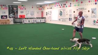 101 Plus Frisbee Throws for Your Dog