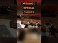 Opening 2 Special Chests