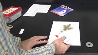 Herbarium project instruction - mounting and labelling