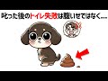 【総集編】犬が知って欲しい"あの"行動に隠された気持ち50選 #雑学 #豆知識 #トリビア