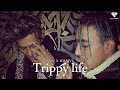 Nvst soldjvtseasonbae5346  trippy life official music