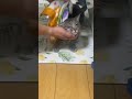 お風呂代わりに濡れたタオルで拭かれるシルバくん。