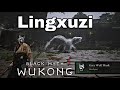 Black Myth Wukong : LINGXUZI Grey Wolf ( PlayStation 5 )