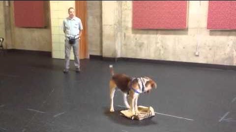 Shaping by Successive Approximation