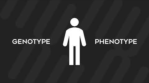 Genome-Wide Association Study - An Explanation for Beginners