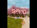 Just like spring, I’m starting over 🌸#spring in #germany