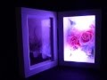 LEDで七色に光るプリザーブドフラワー　フォトフレーム