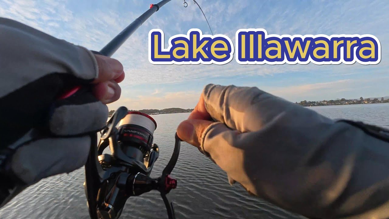 Lake Illawarra Hard Bodies