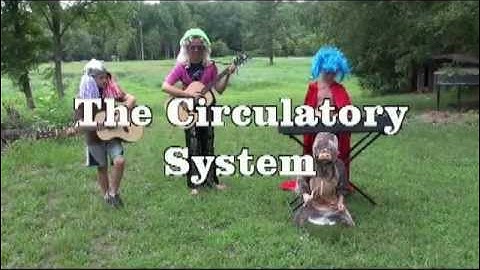 Cycle 3-Week 8-Circulatory System