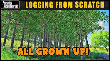 They Grow Up So Fast! - Logging From Scratch 33 - Farming Simulator 2019 - FDR Logging