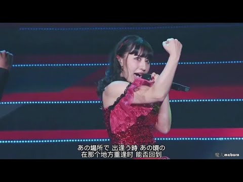 玉置成実　Reason   stage mix