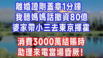離婚證剛蓋章 1 分鐘，我聽媽媽話撤資 80 億，婆家帶小三去東京揮霍，消費 3000 萬結賬時，助理來電當場昏厥！#生活經驗 #人生感悟 #故事分享 #情感 #正能量 #婆媳