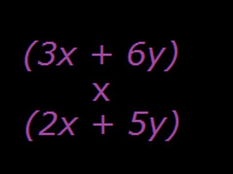 Algebra Multiplication Polynomials ( Multiple Term Expression)