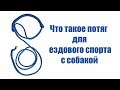 Про потяги для катания на собаках - обучающие видео