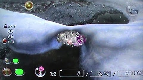 Pikmin 2 Wii: Draining the Water in VoR Early
