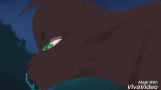 Катываителиmydemonskeyt Koteyka