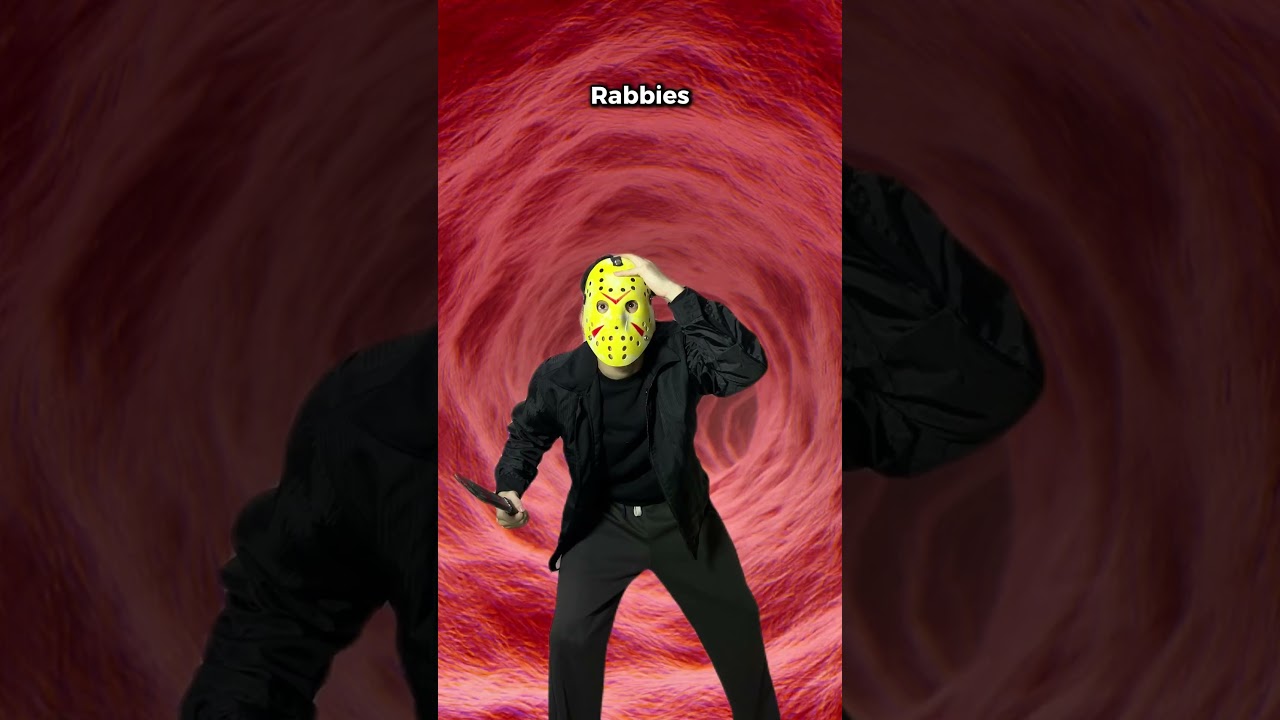 When Rabies enters a Vaccinated Body