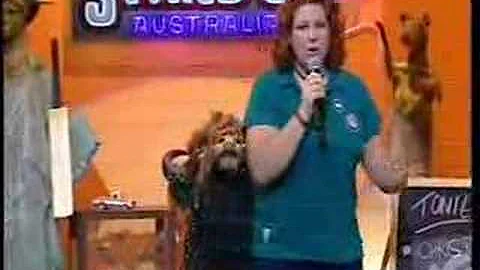 Julia Wilson Austrlian Stand Up Comedian