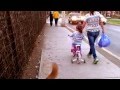 Documental: Vida de Perro