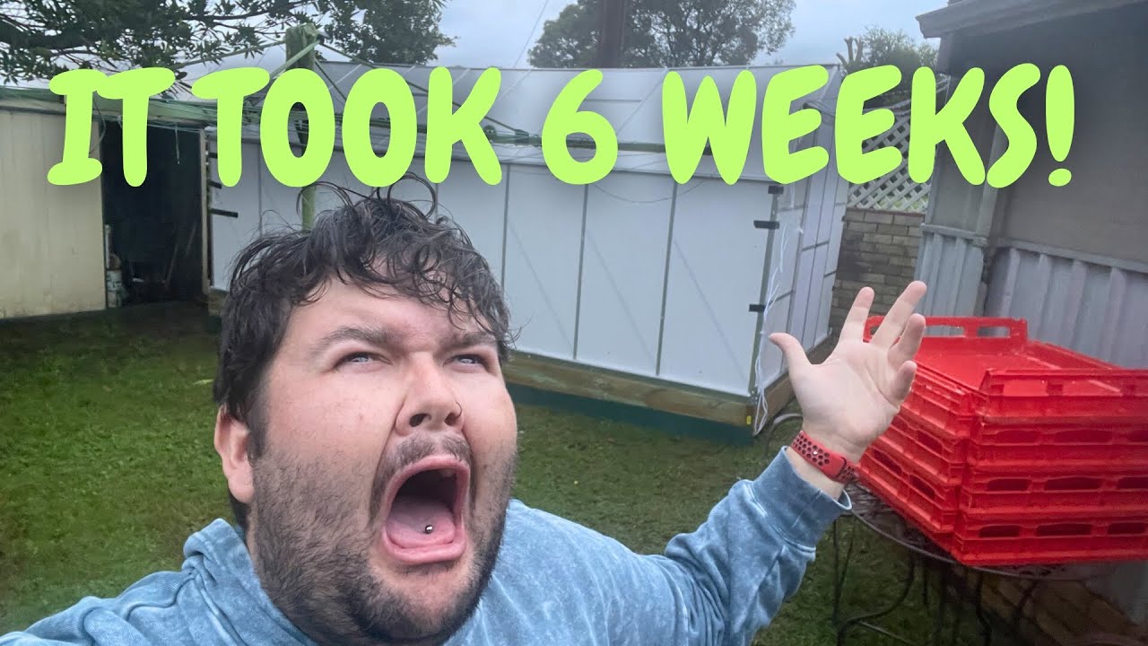 Building A Greenhouse - The Struggle Is Real | Elusive Plants