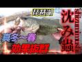 一誠-issei-沈み蟲でモンスターバス捕獲！今年初の50アップはパンパンのデカバス！【琵琶湖バス釣り】