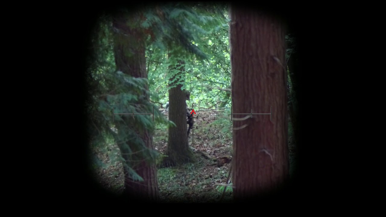 Airsoft sniper - Action army AAC T10 - Head-shot's - multi-kills - Southdown Airsoft