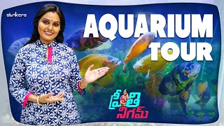 మా బావ గారి Aquarium Tour || Preeti Nigam || Strikers