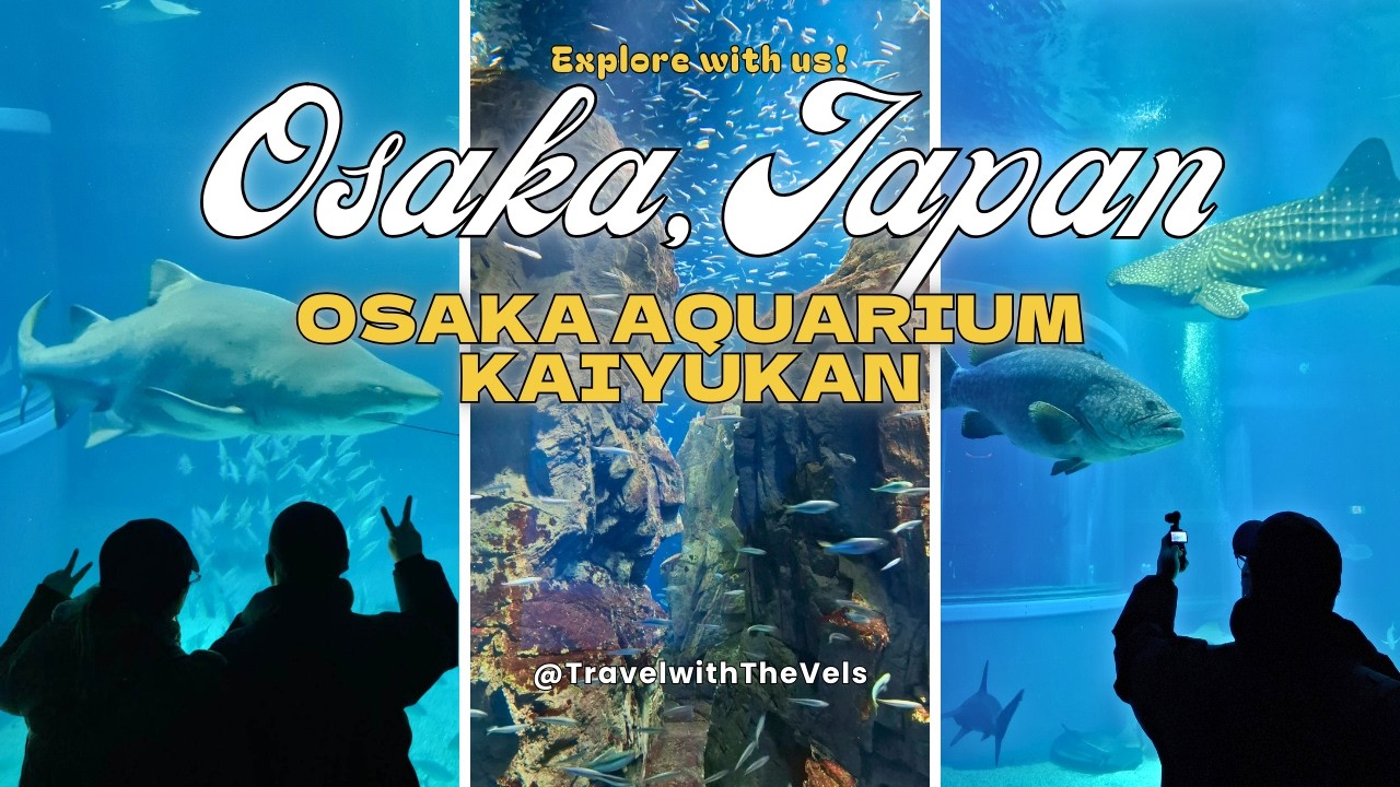OSAKA, JAPAN 🇯🇵 | Exploring Osaka Aquarium Kaiyukan | POV Travel: How to get there + Full Experience