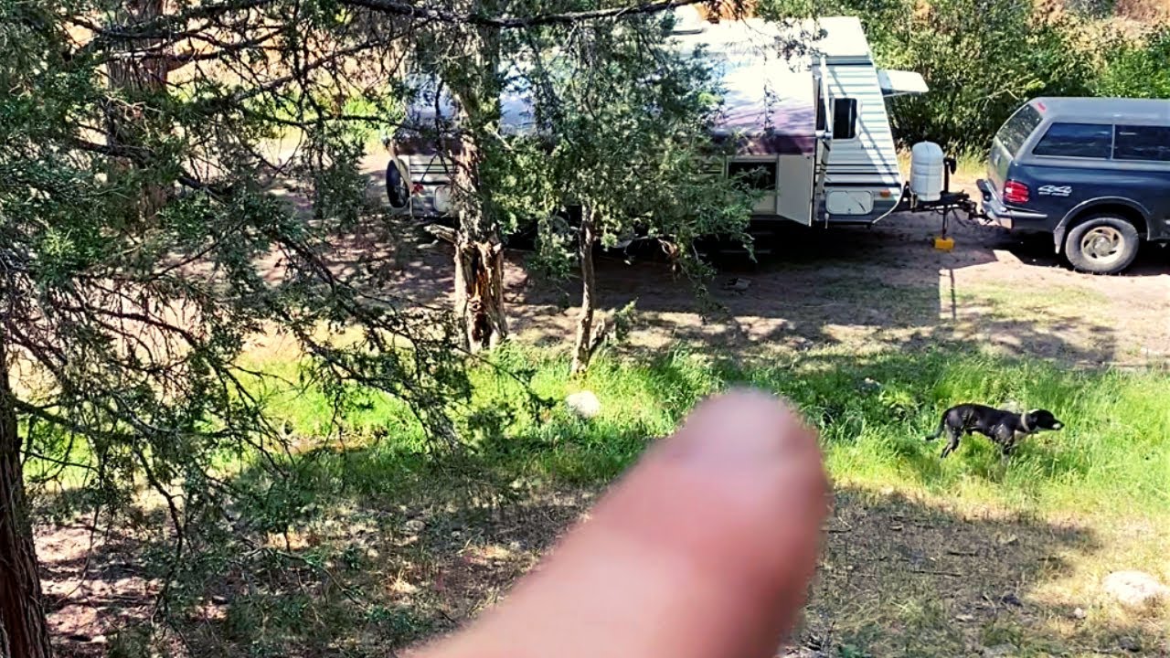 Nomadic Lifestyle With Dogs Is Not For Everyone…