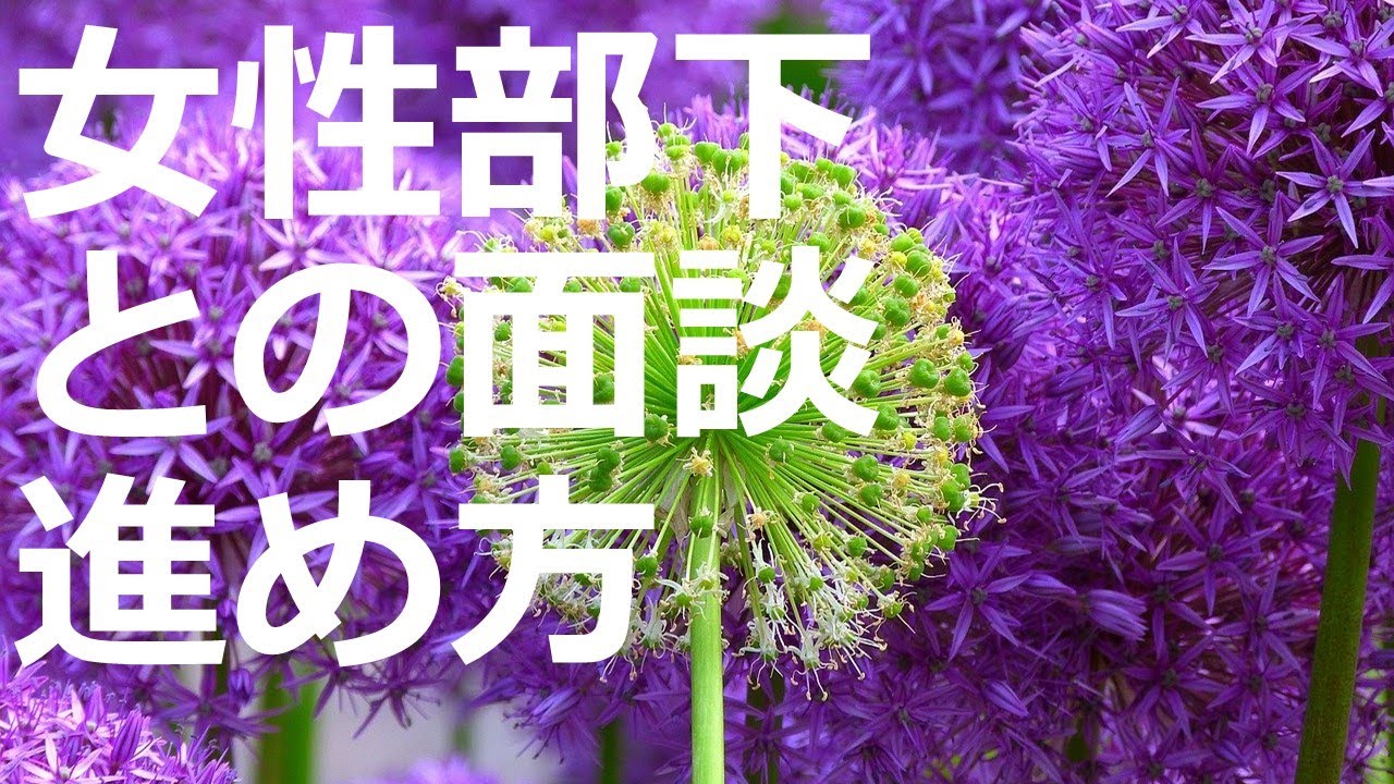 【男性マネジャー必見！】女性部下との面談の進め方　～岩山真子登場！～